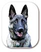 arfrescue